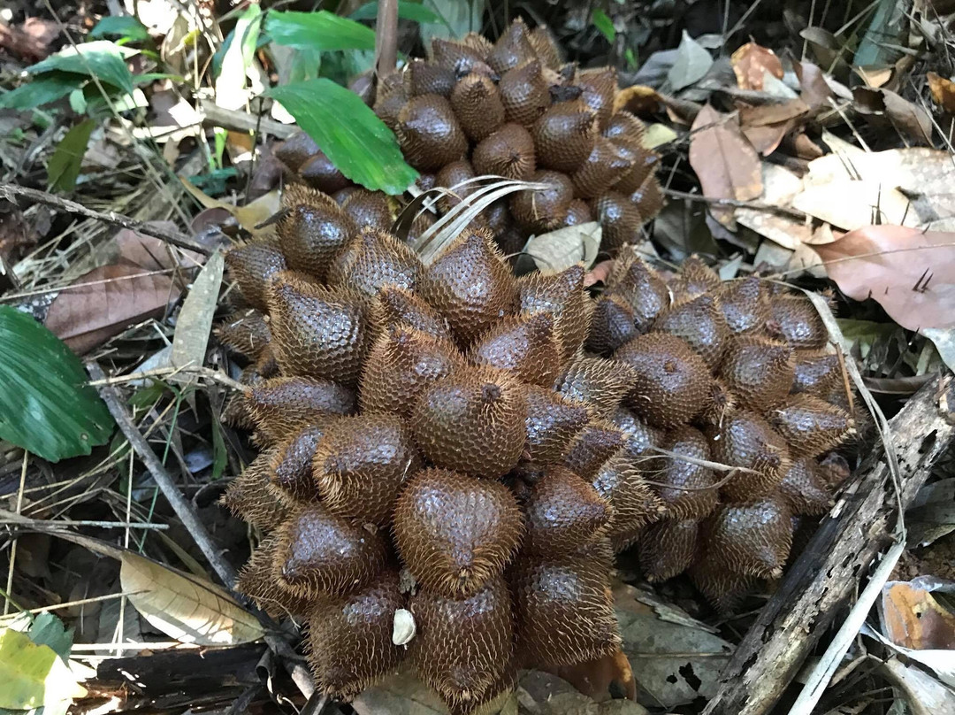 Pha Hin Kup-考其谷必去景点