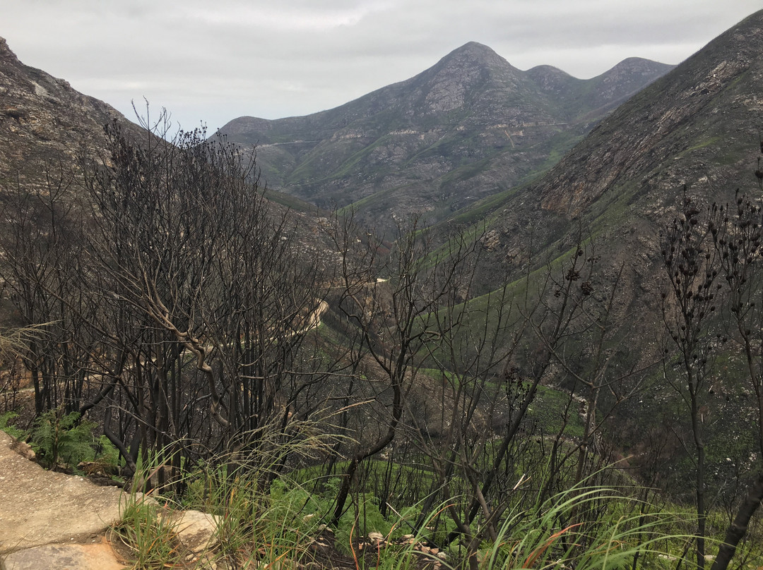 Montagu Pass-乔治必去景点