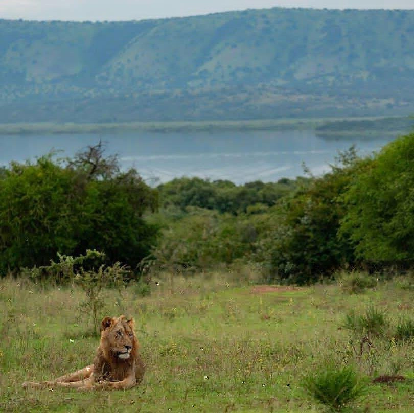Vazquez Tours & Travel Ltd-吉佳利必去景点