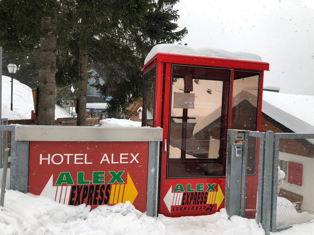 Hotel Alex主图