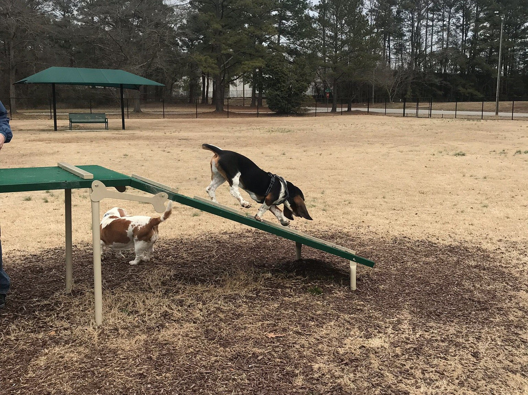 Best Friend's Dog Park-落基山城必去景点