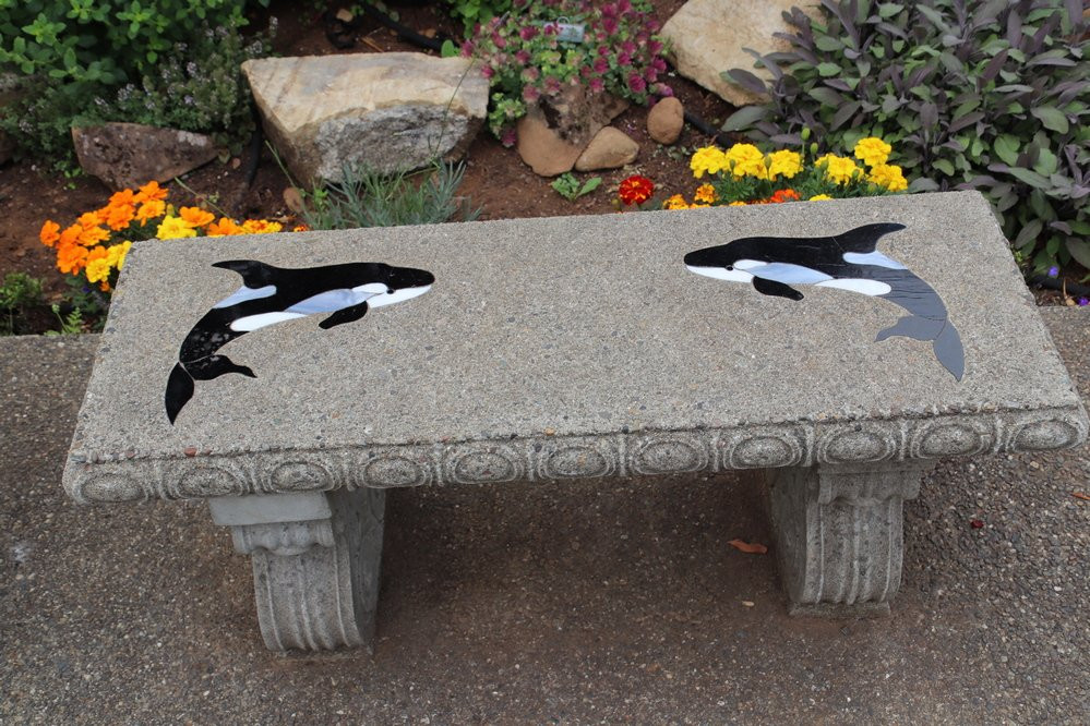 Elmo Williams Monument-布鲁金斯必去景点