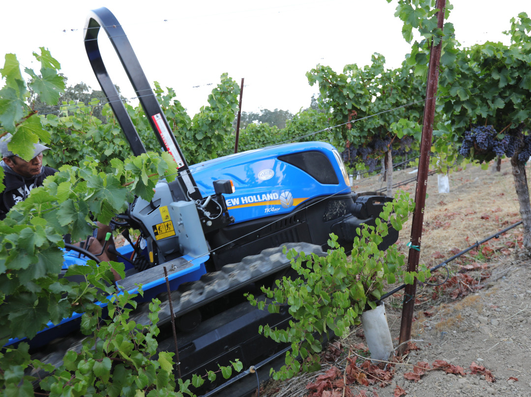 Trattore Farms and Winery景点图片