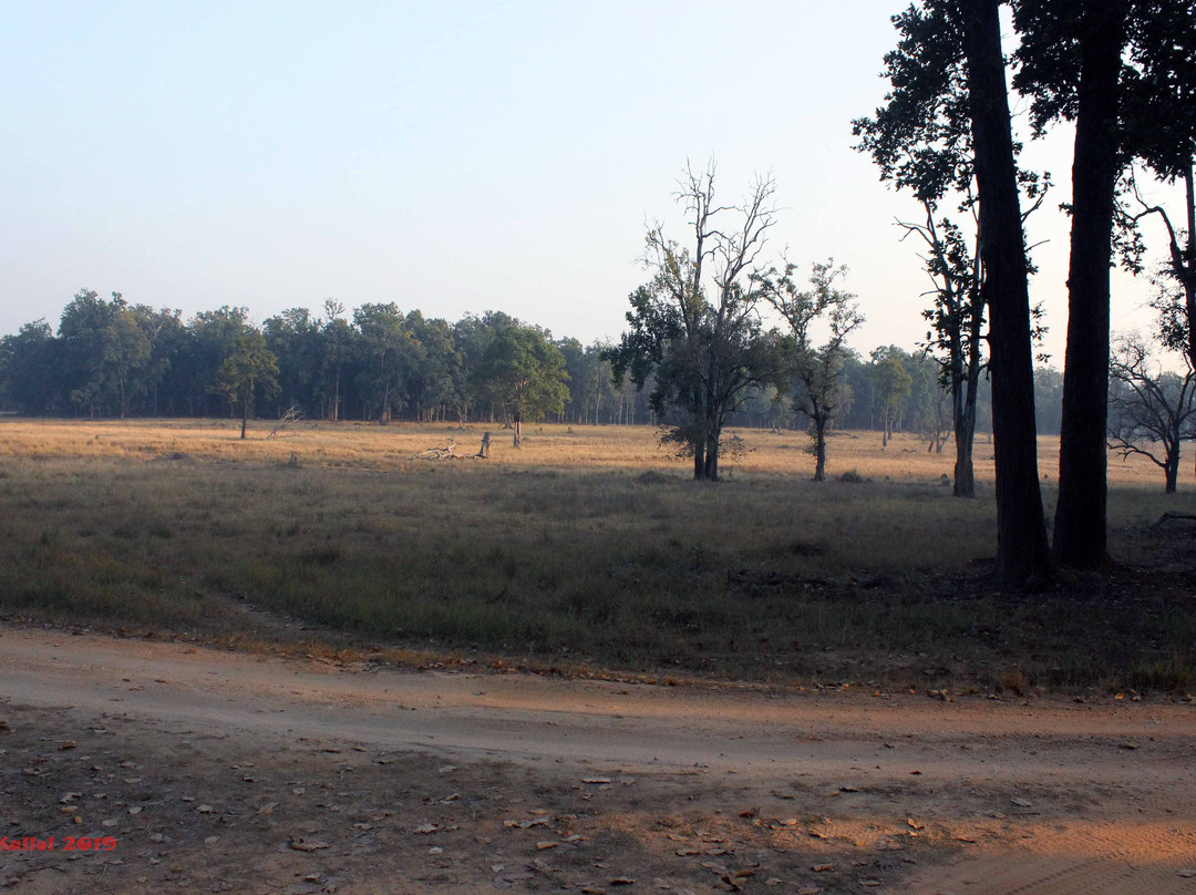 Kanha National Park景点图片