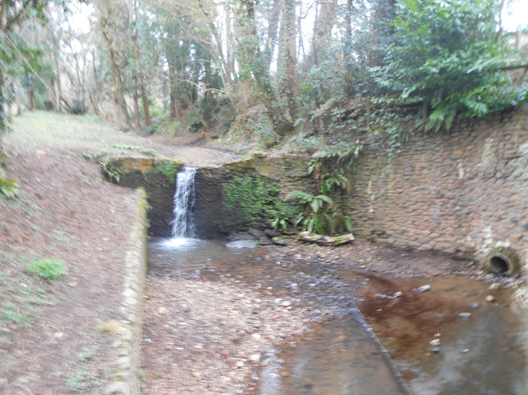 The Glen-Honiton必去景点