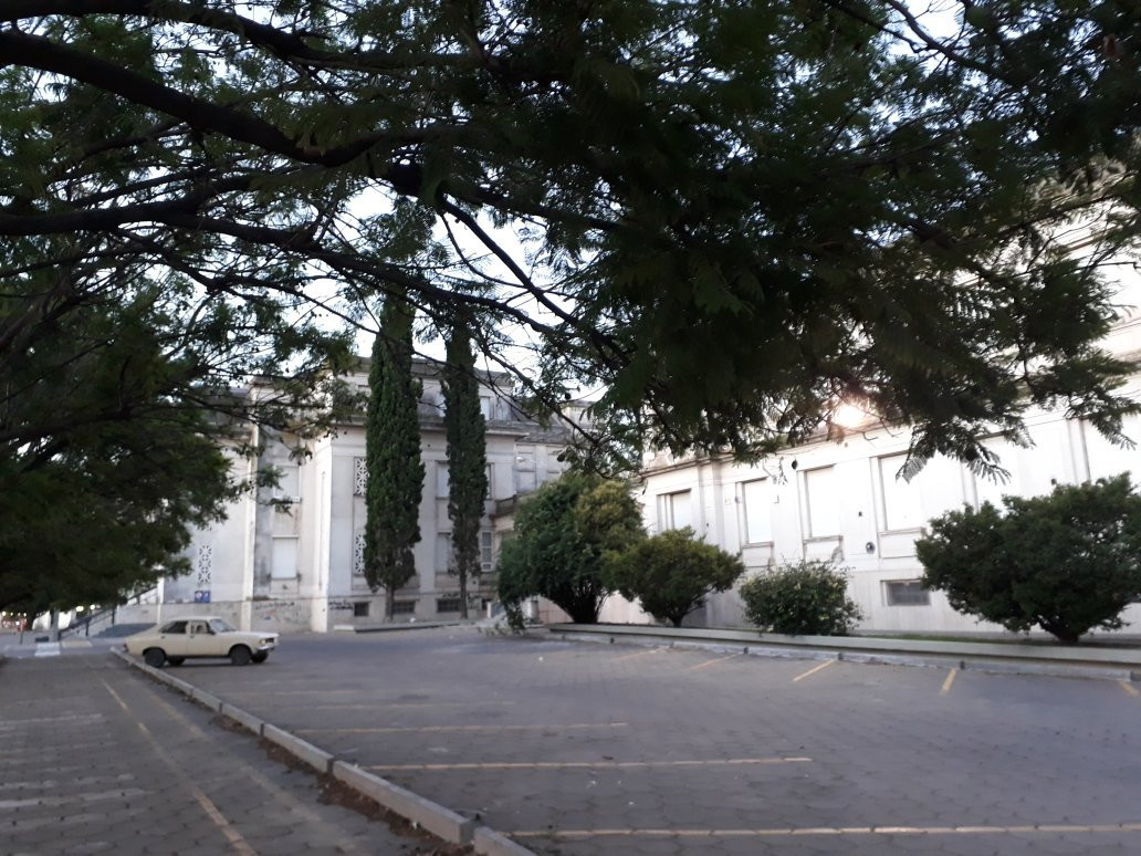 Avenida Alem-Bahia Blanca必去景点