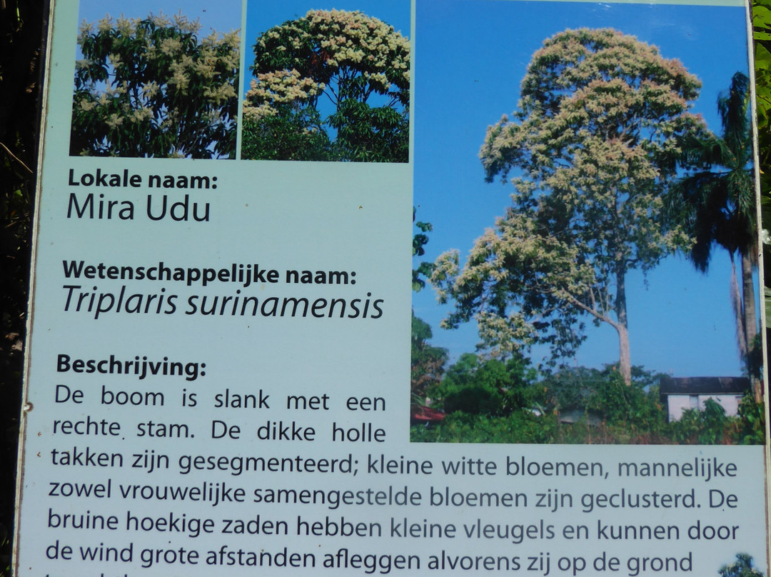 Peperpot Nature Park-Meerzorg必去景点