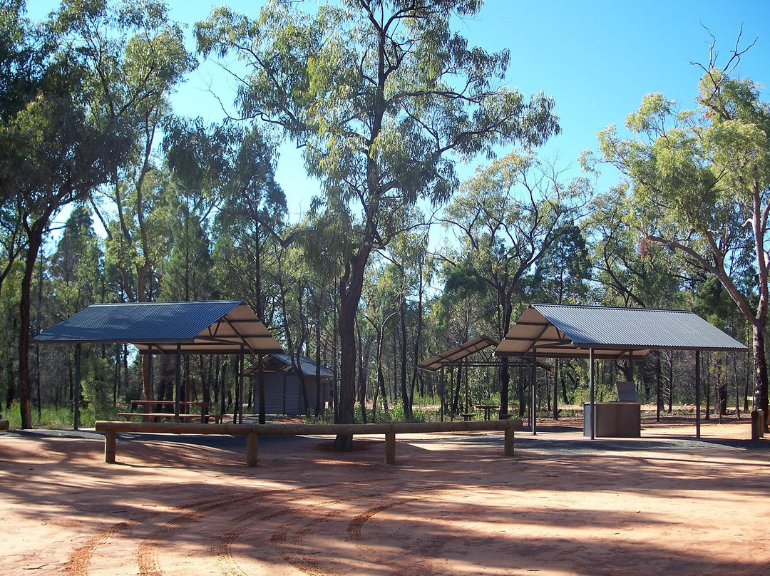 Pilliga National Park-Coonabarabran必去景点