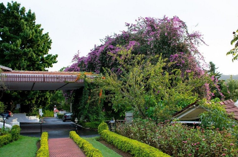 奇路港威酒店主图