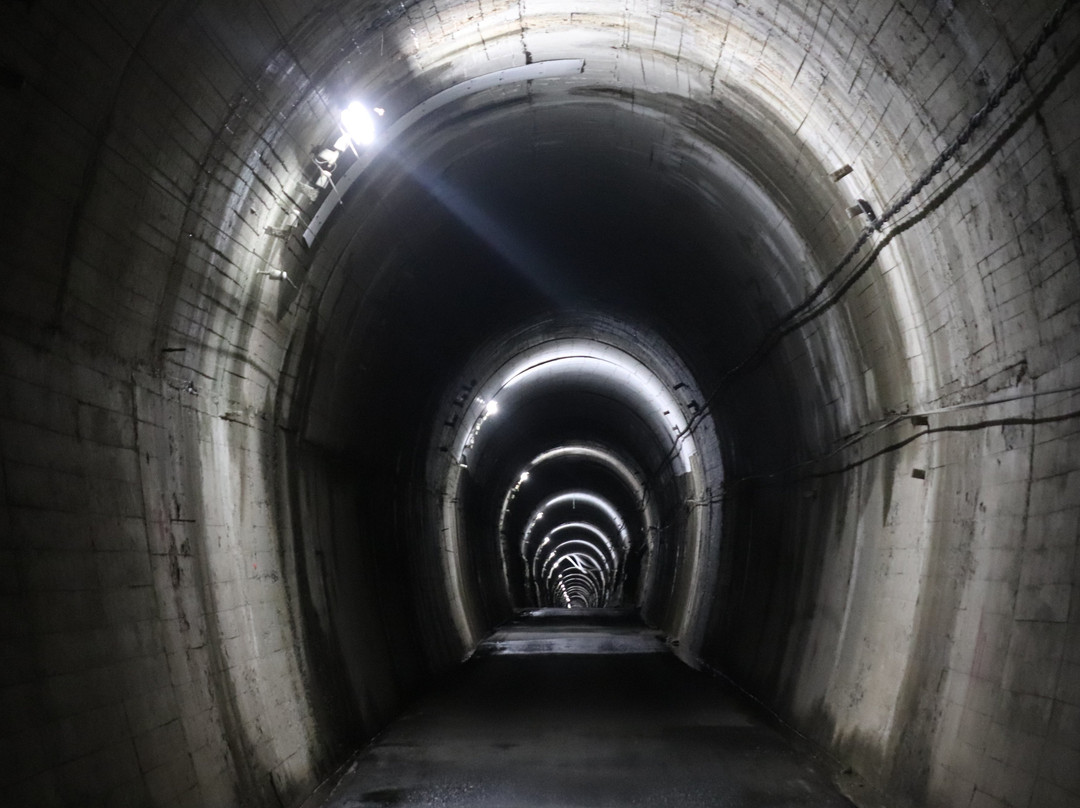 天龙村旅游景点-Natsuyake Tunnel