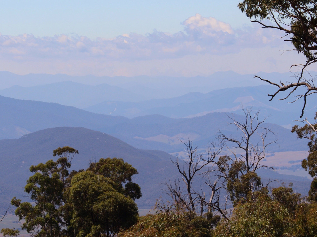 Beechworth Historic Goldfield Tours-比奇沃思必去景点