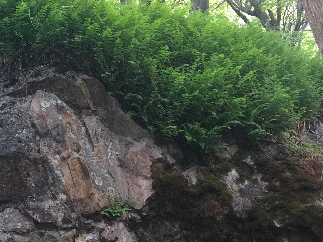 Sendero a Piedra del Fraile景点图片