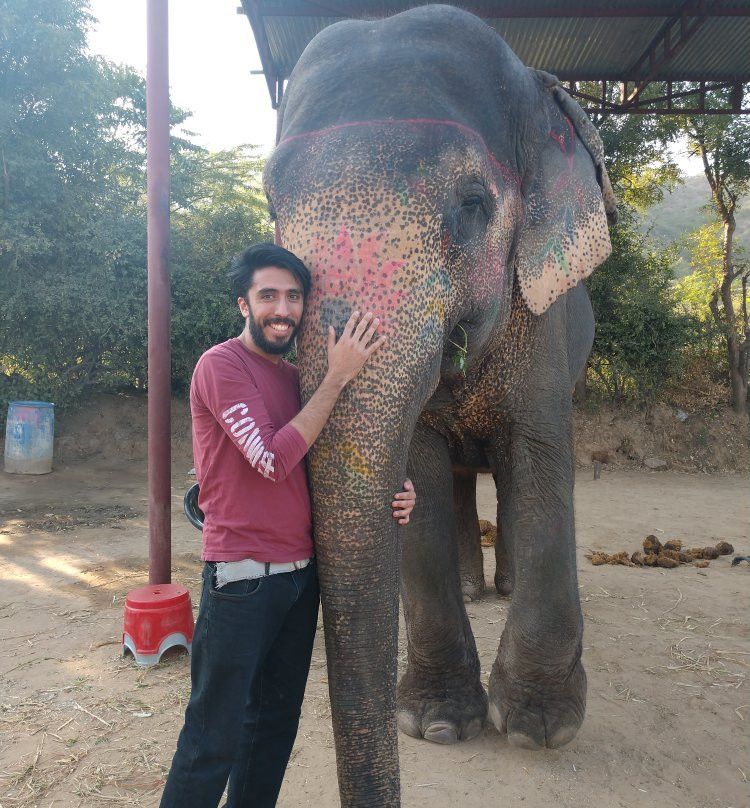 My Elephant Trip景点图片