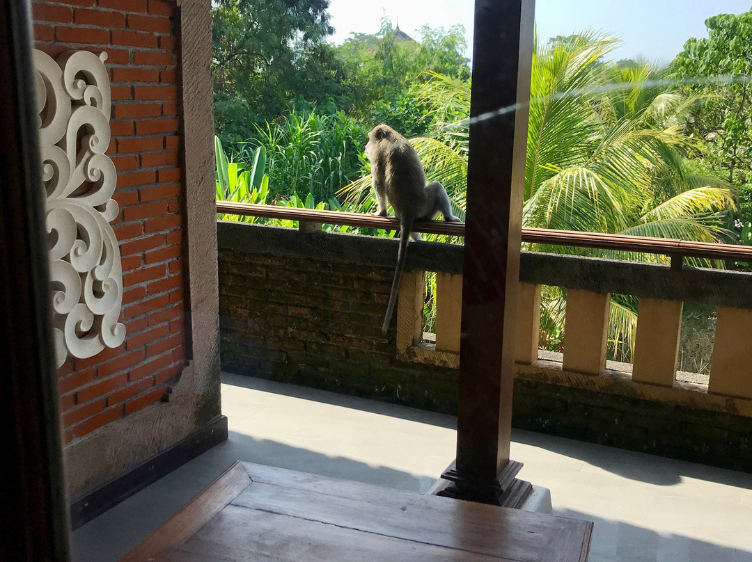 萨恩茵达酒店主图