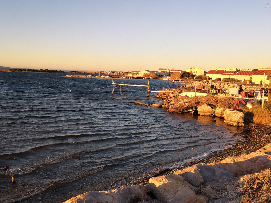 Site Naturel des Dosses-Le Barcares必去景点