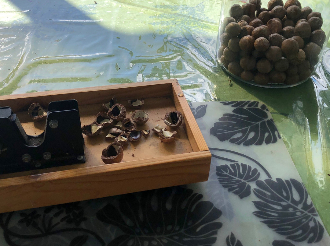 Halawa Tropical Flower Farm-考纳卡卡伊必去景点