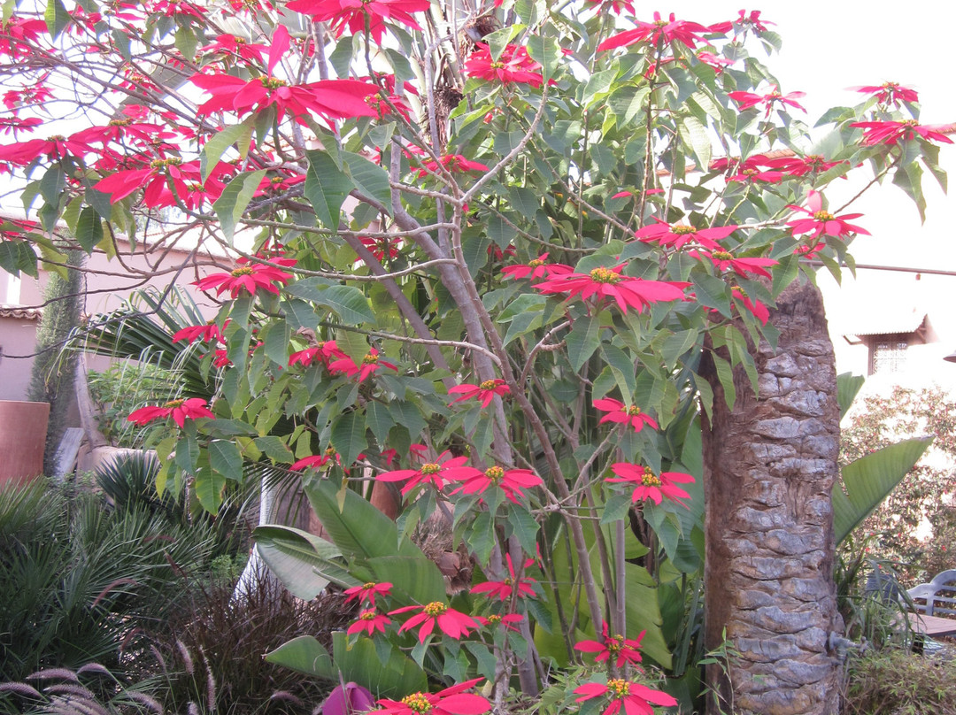 Riad El Koudia主图