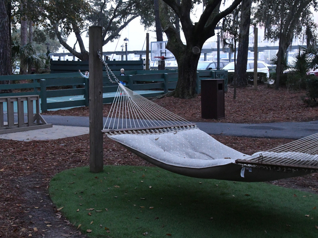 Disney's Hilton Head Island Resort主图