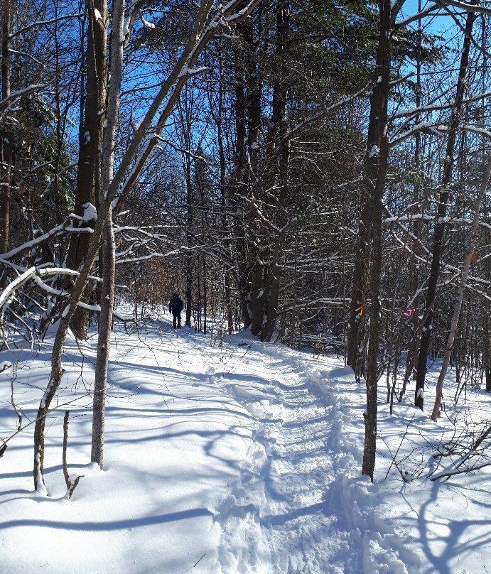 Ski Montagne Coupée-Saint-Jean-de-Matha必去景点