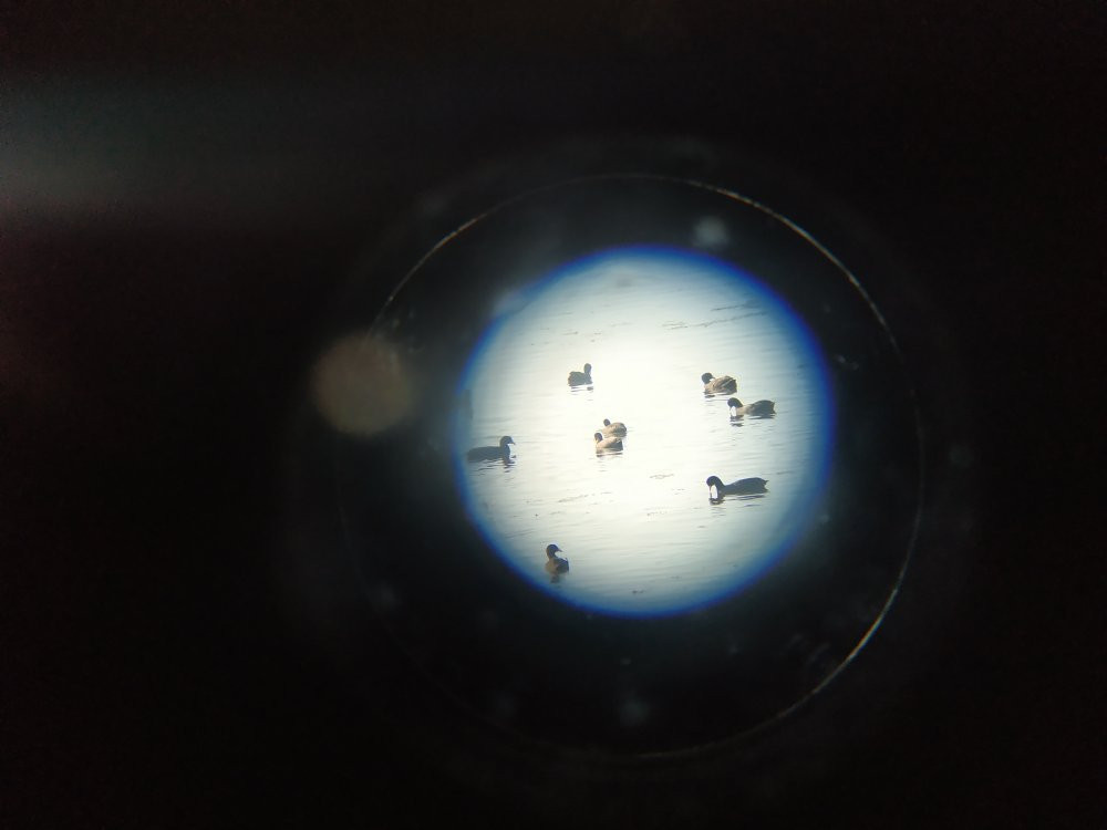 Baikka Beel Wetland Sanctuary-Sreemangal必去景点