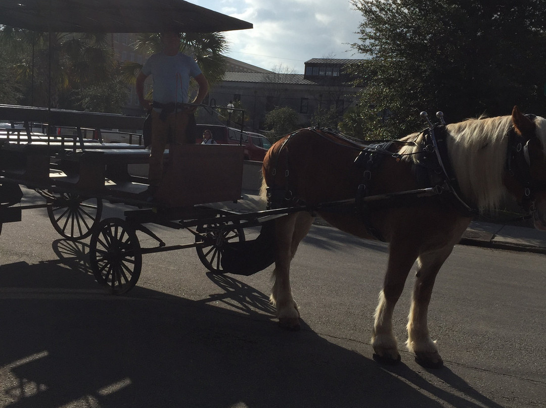 Charleston Carriage Works-查尔斯顿必去景点