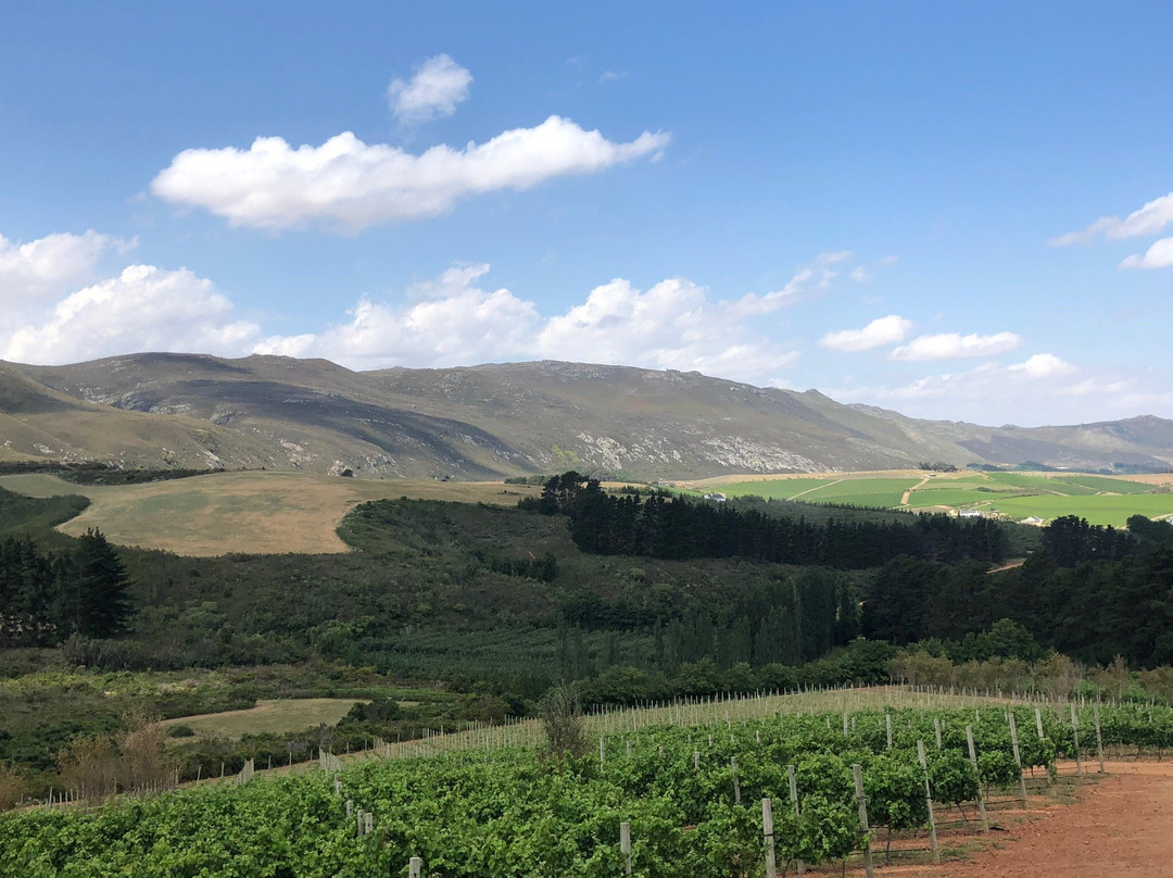 Ataraxia Wines-赫曼努斯必去景点