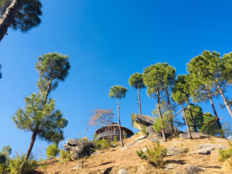 Seed At Queens Meadows, Ranikhet主图