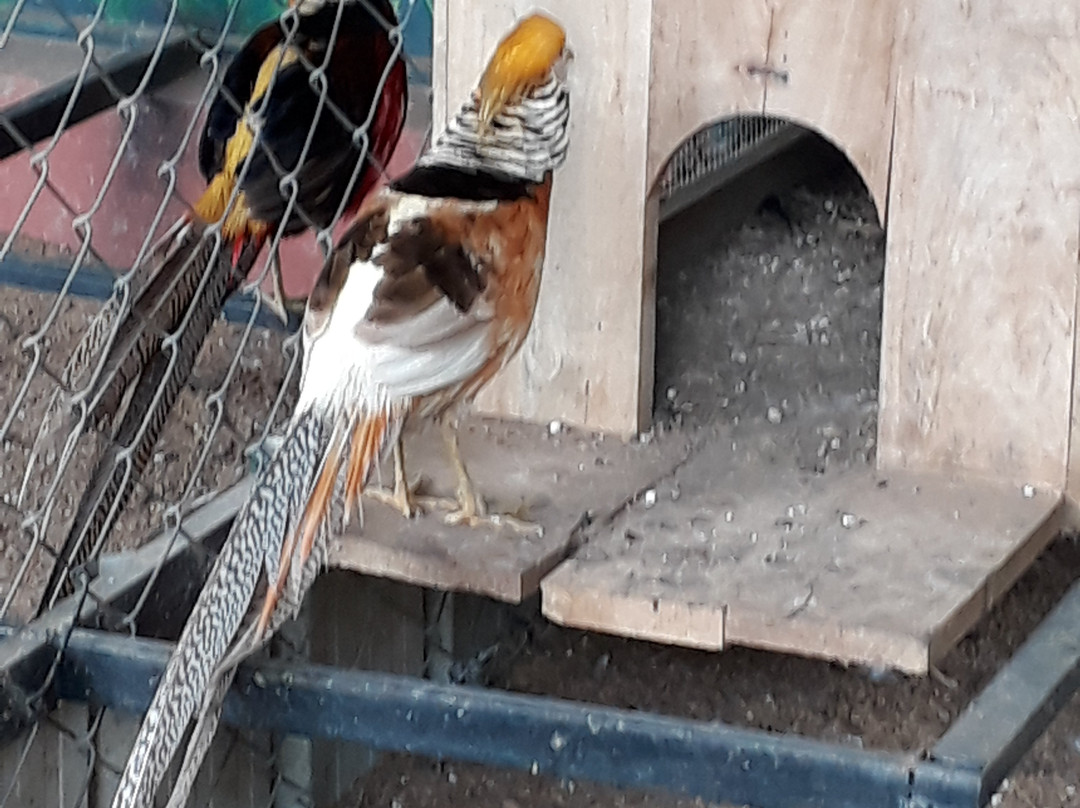 Regional Agricultural Research Station-Sulthan Bathery必去景点