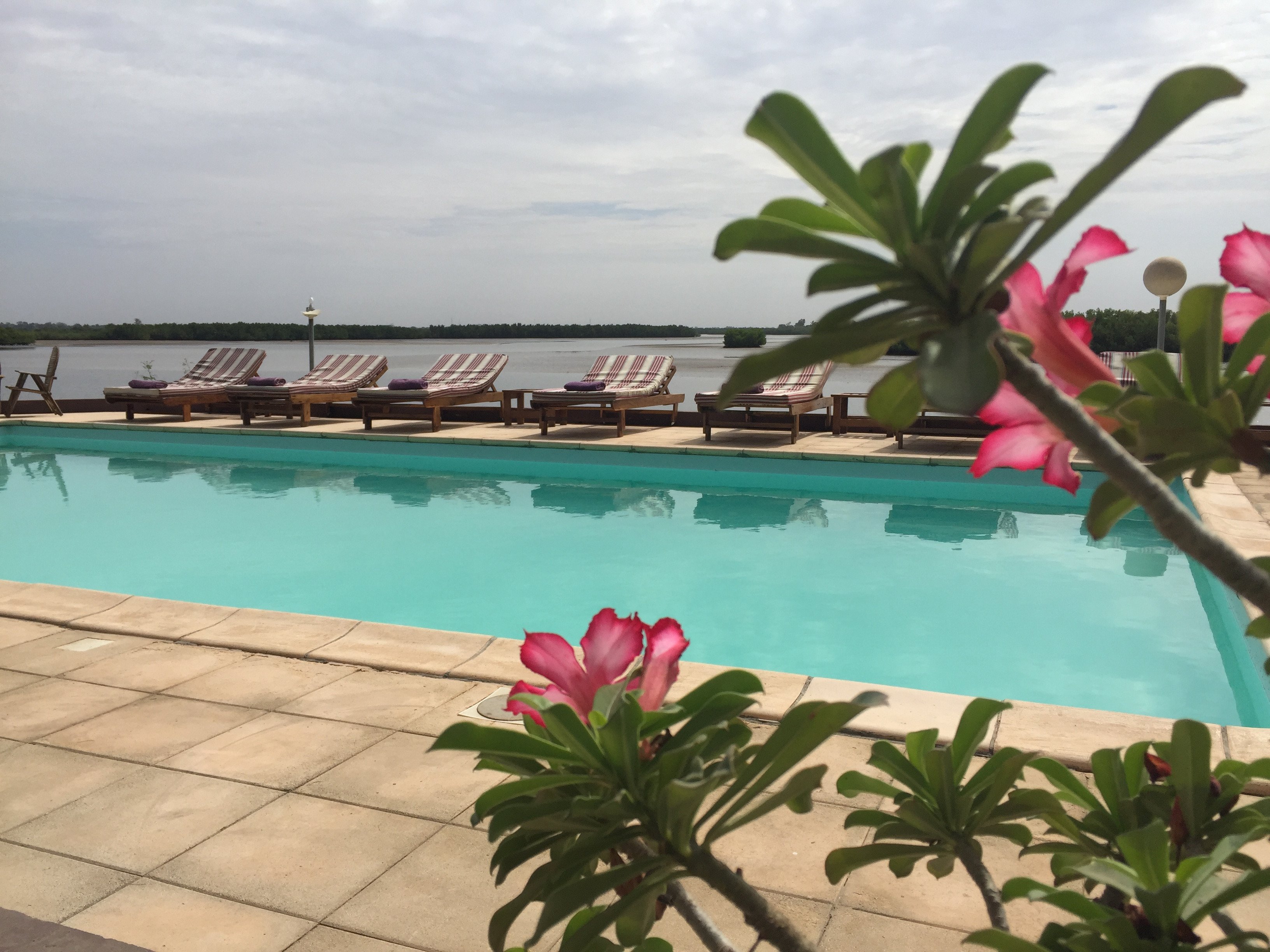 Les Barracudas-官方