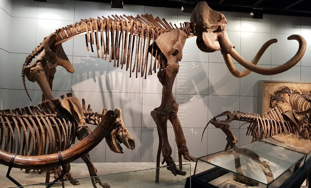 浙江自然博物馆-杭州市必去景点