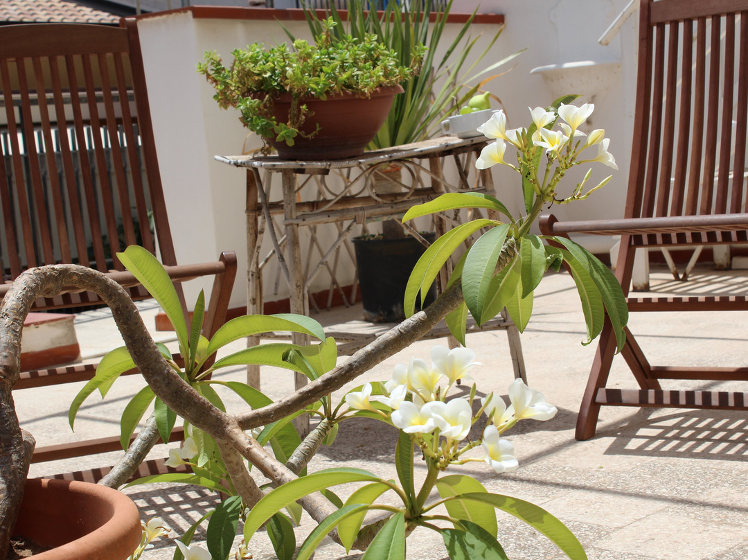 Il Dammuso short lets vacances主图