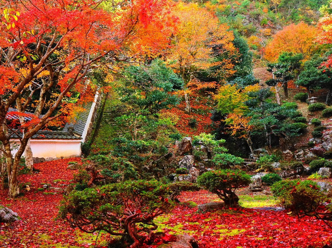 Tokugenin Temple景点图片