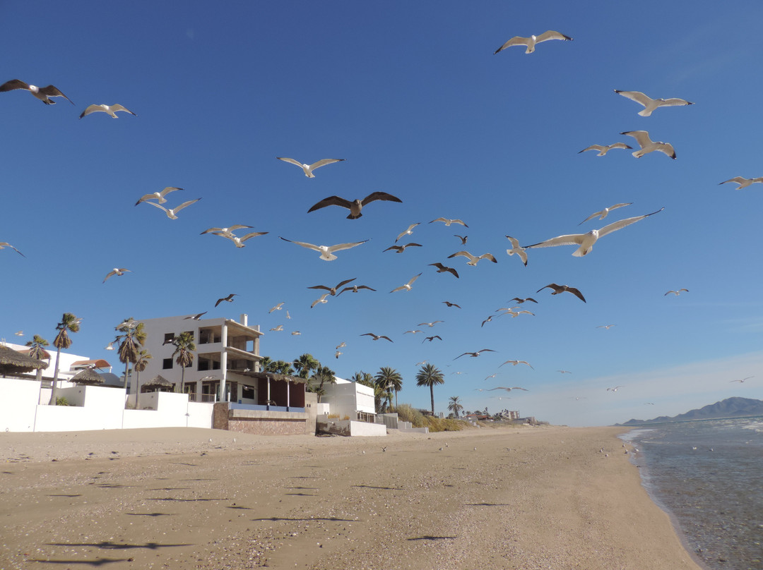 La Playa RV & Hotel主图