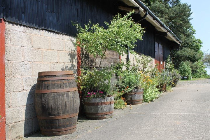 Mahorall Farm Cider-拉德洛必去景点