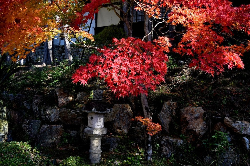 Owarifuji Omiya Sengen Shrine景点图片