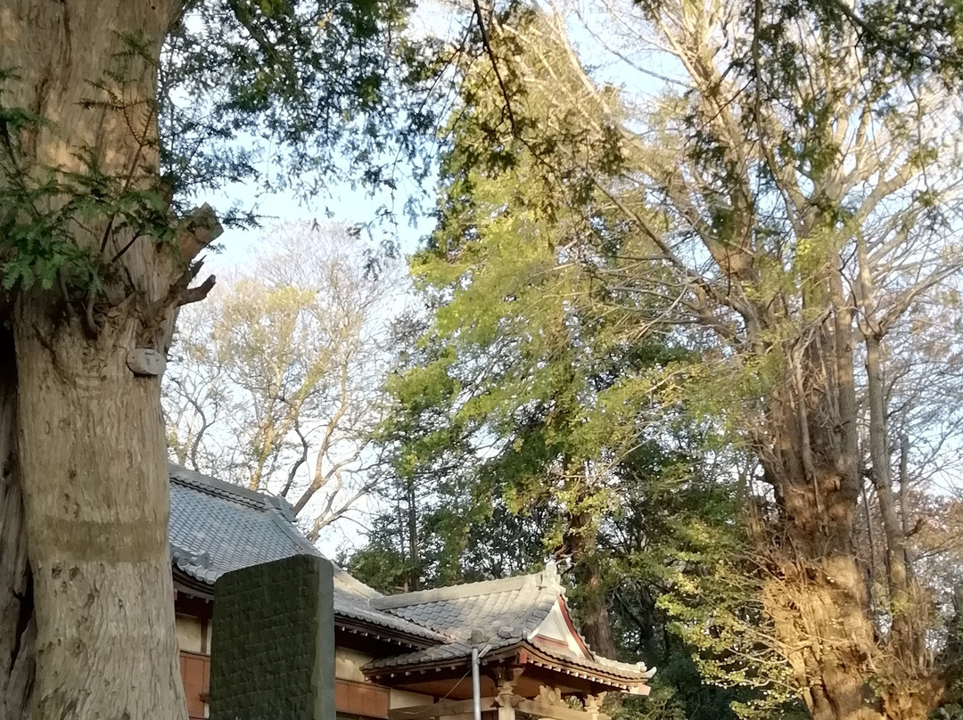 Saifuku-ji Temple-佐仓市必去景点