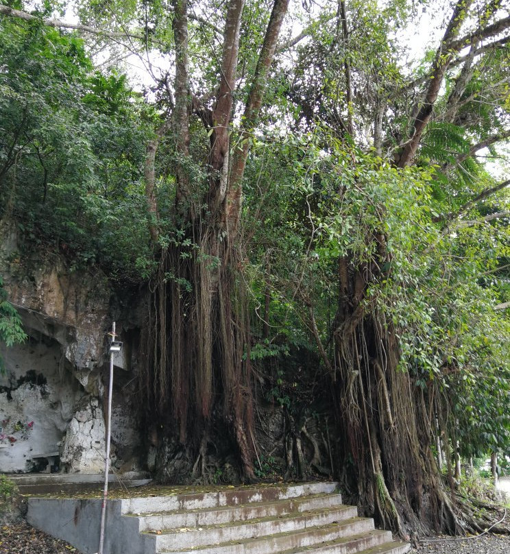 Tigayon Hill and Cave景点图片