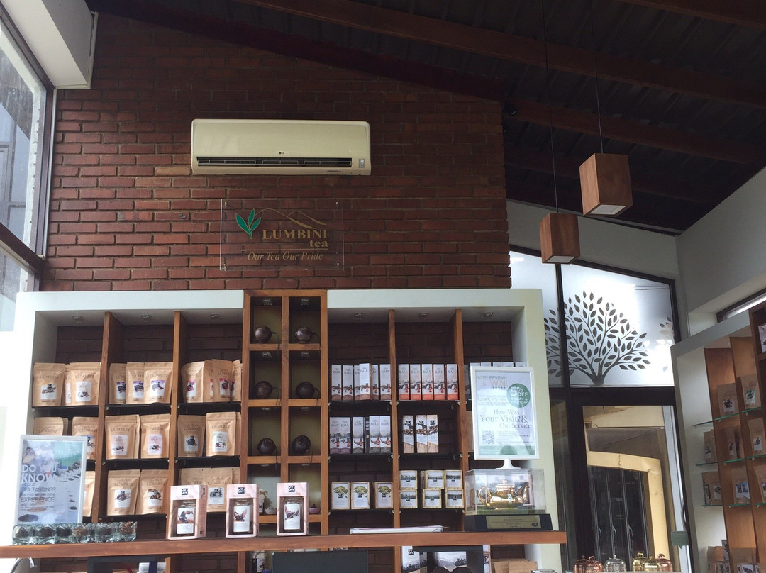 Dalu Tea Centre景点图片