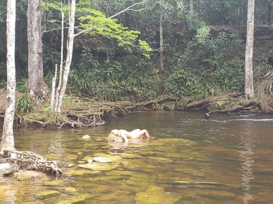Cachoeira das Orquideas-Presidente Figueiredo必去景点