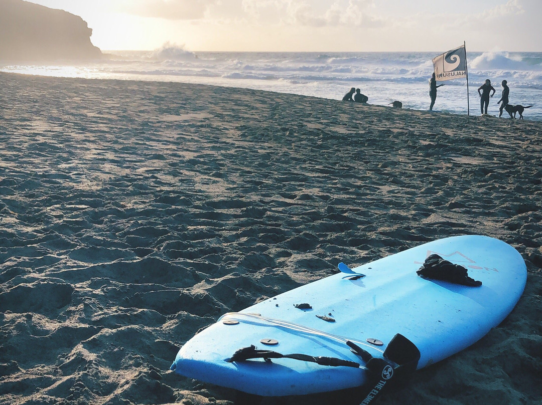 Nalusurf Surfschool景点图片