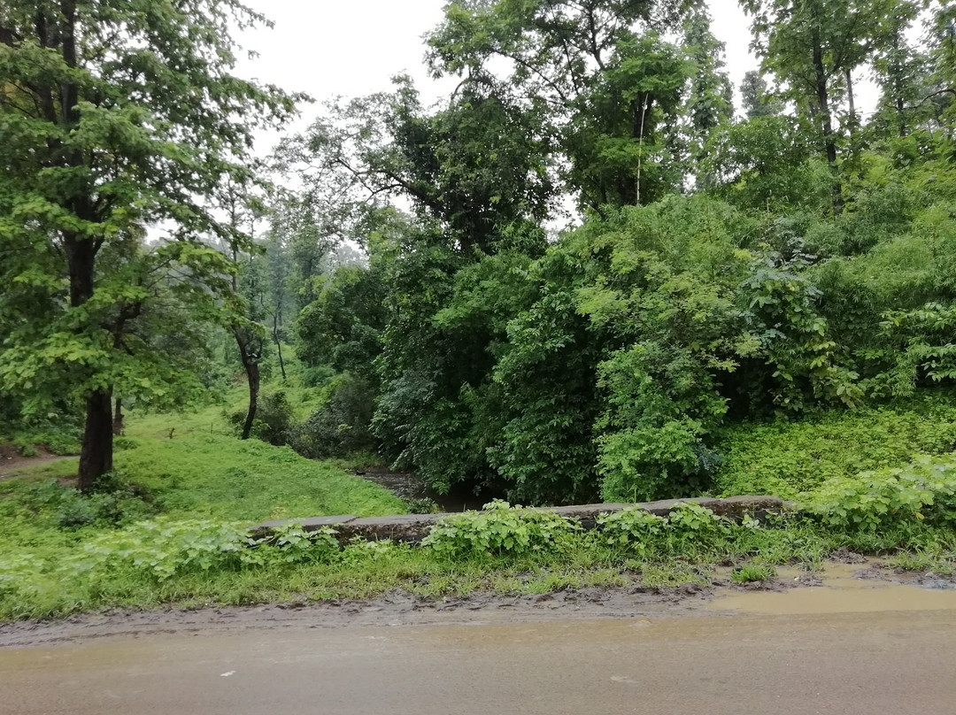 Gaumukh Waterfalls景点图片