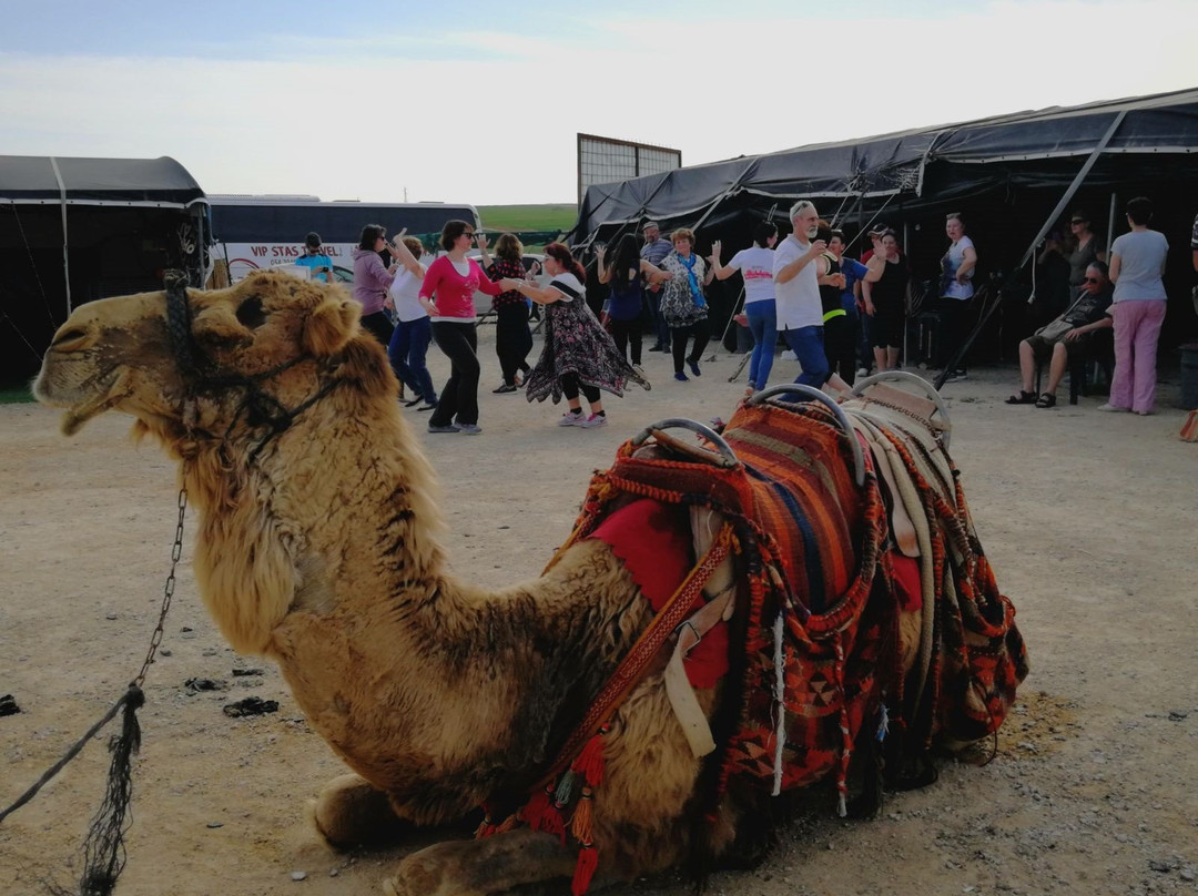 Dimona旅游景点-Bereshit Ranch