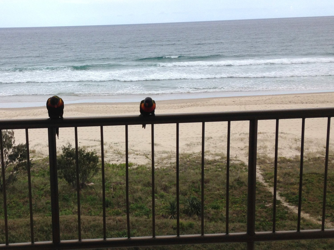Tugun Beach-Tugun必去景点
