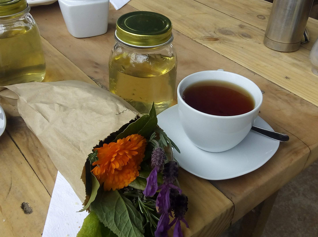 Granja Aromatica Los Aromos-Limache必去景点