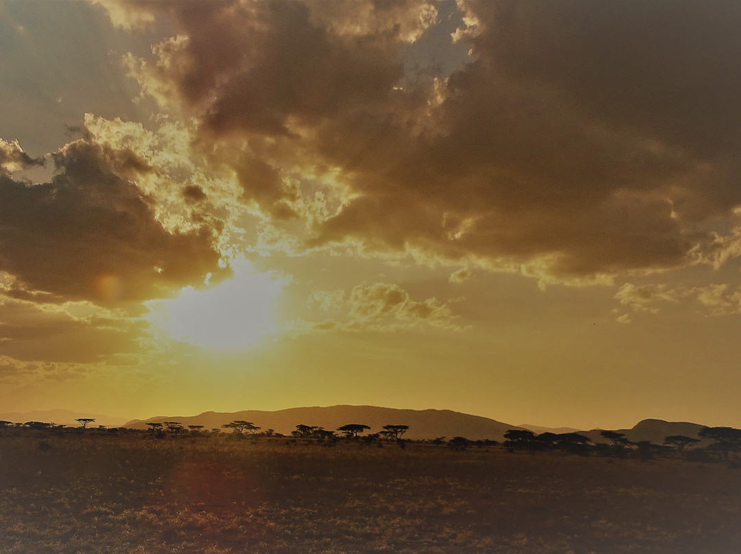 阿什尼尔桑布鲁营地酒店主图