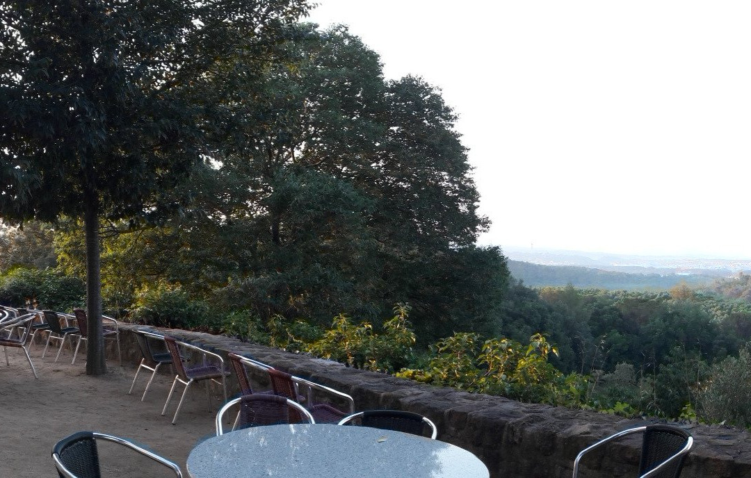 Ayurveda Mas Murtra主图