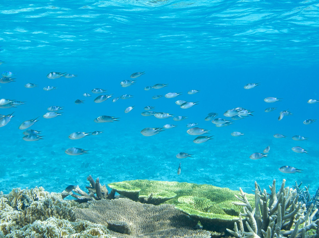 Aqua Base-Miyako-jima必去景点