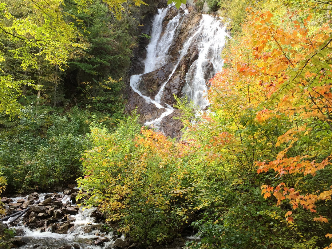 Algoma Central Railway-苏圣玛丽必去景点