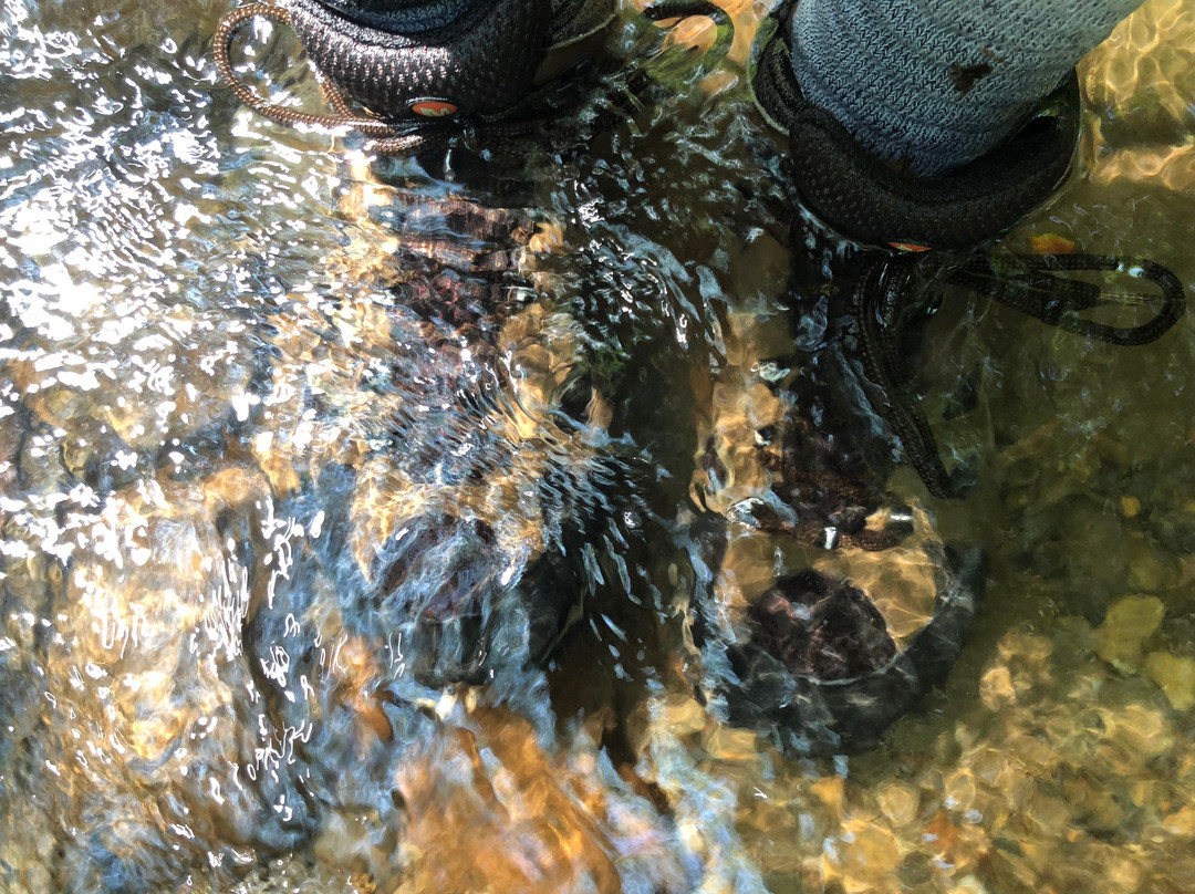 Emery Creek Trail-Chatsworth必去景点