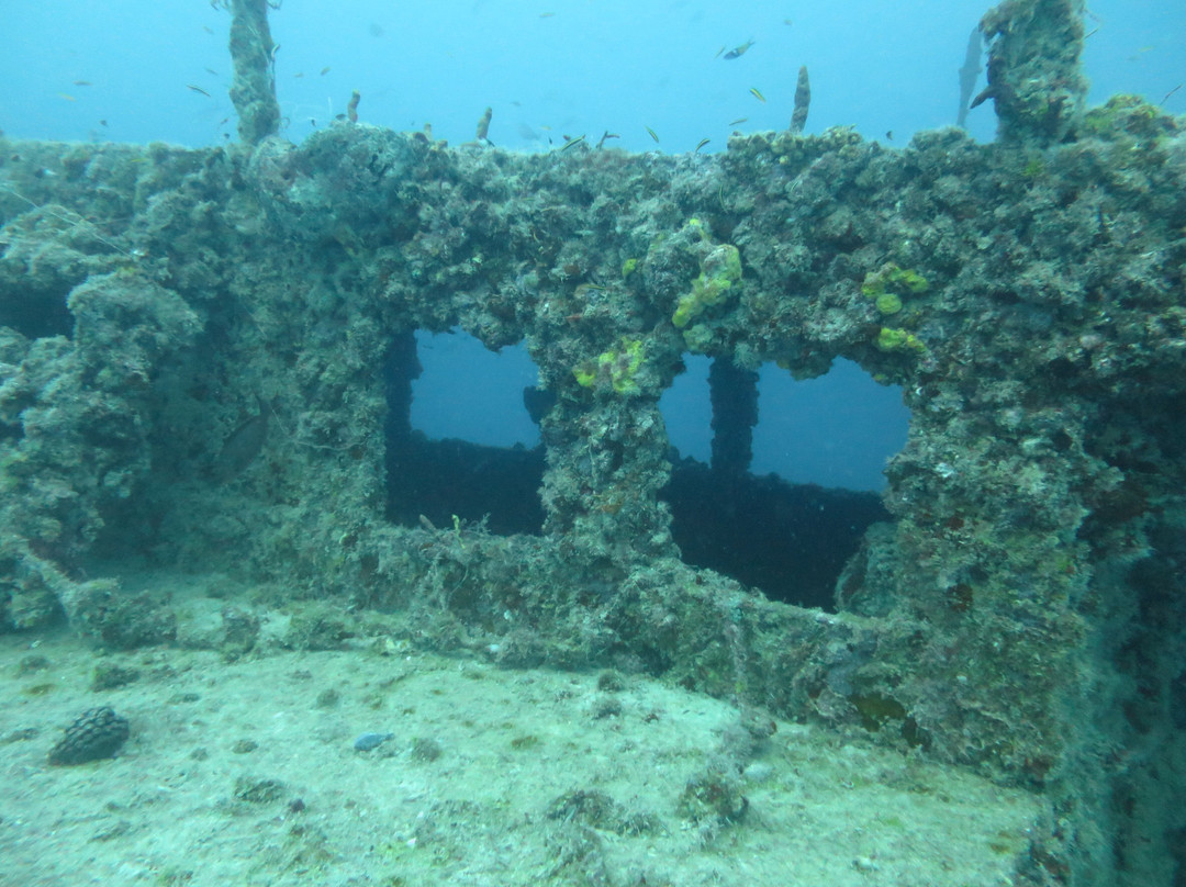 Thunderbolt Wreck Dive Site景点图片